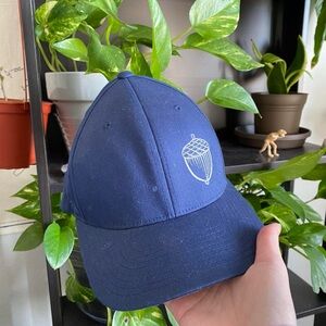 Blue Acorn Baseball Hat
